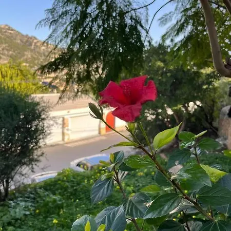 Villa Marie Vue * Piscine * Clim * Parking * Smart Tv