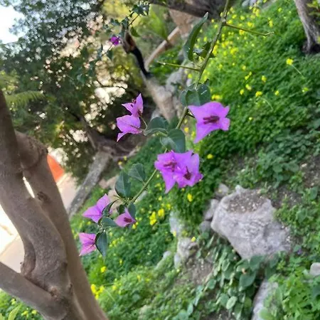 Marie Vue * Piscine * Clim * Parking * Smart Tv Calpe