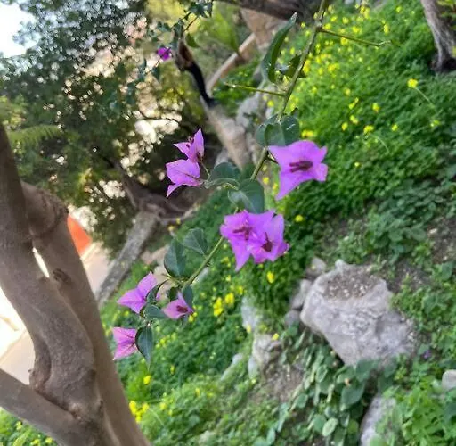 Marie Vue * Piscine * Clim * Parking * Smart Tv Calpe